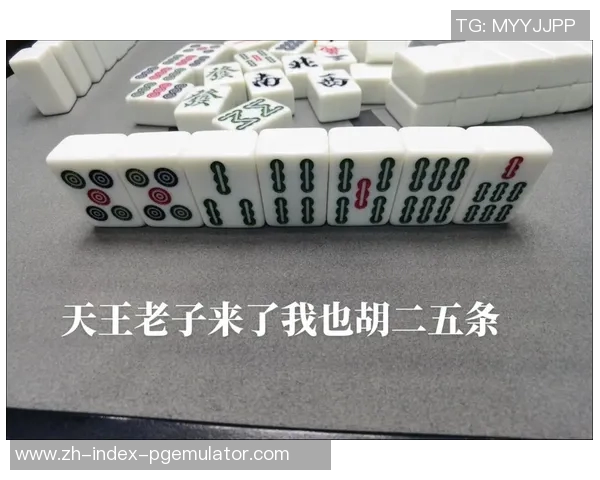 麻将胡了高倍视频-麻将胡了高倍视频，揭秘技巧与策略的乐趣所在-麻将胡了高倍视频